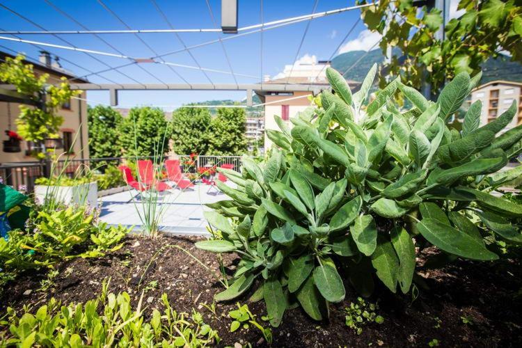 B&B Panemiele Sondrio Exterior foto